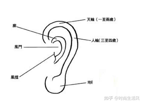 耳朵很多痣|痣